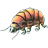 Echiniscus1-48.png